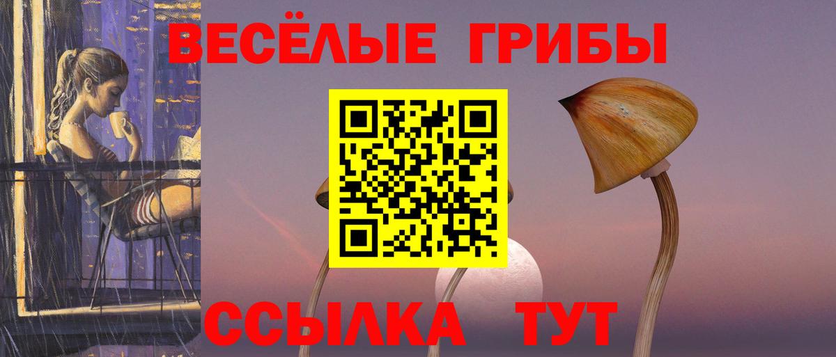 Галлюциногенные грибы Psilocybine cubensis Куйбышев