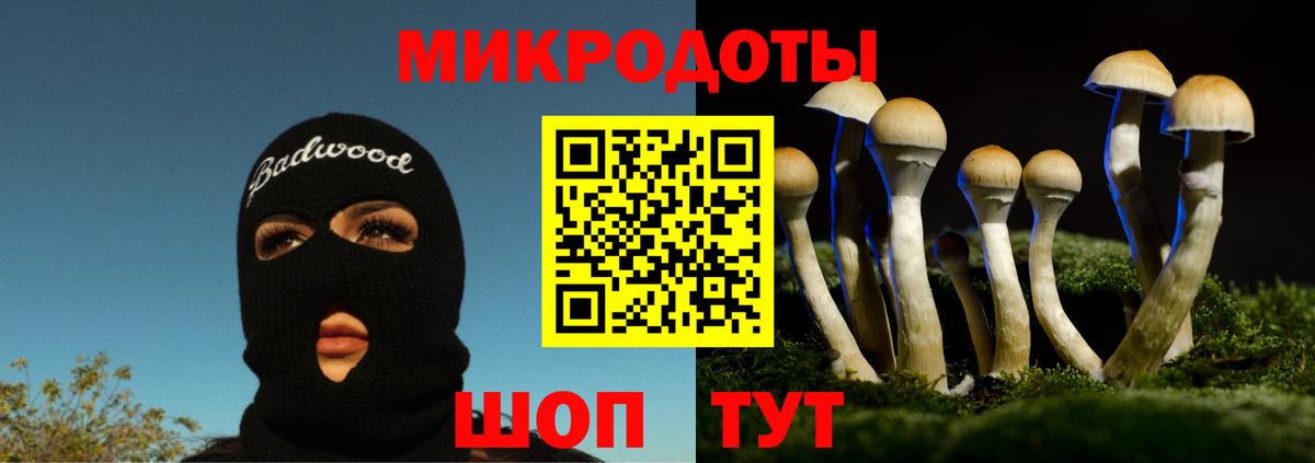 Куйбышев  Псилоцибиновые грибы MAGIC MUSHROOMS  Галлюциногенные грибы мухоморы  Вход с VPN 